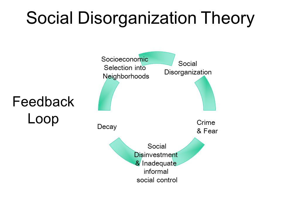 Social disorganization theory